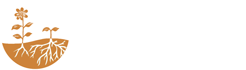 Round-Logo-+-Vanda-Varga-5-(Playfair)-sticky-header